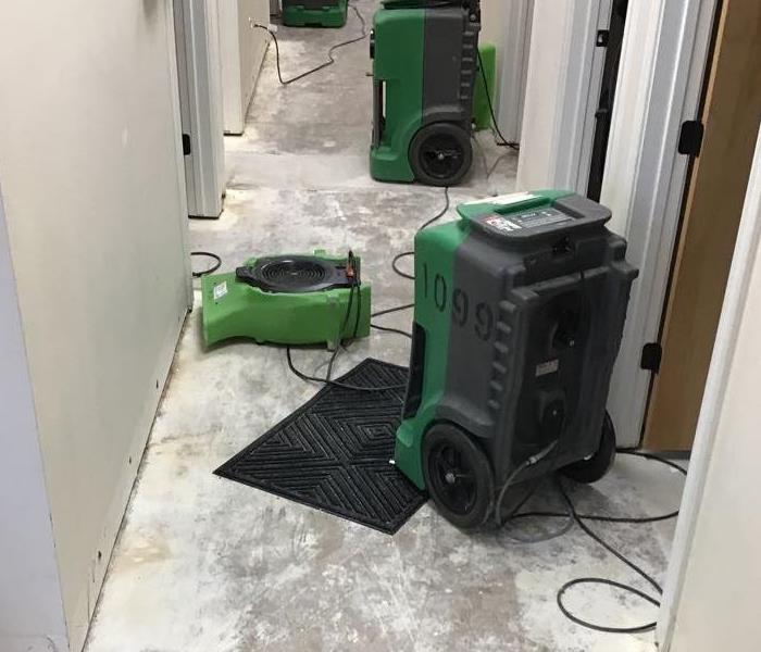 green drying equipment set up in a hallway