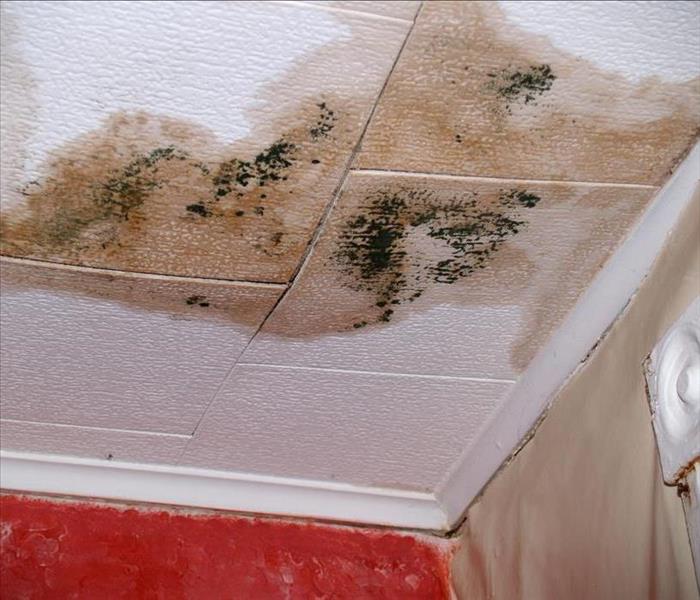 3 Common Effects of Water Damage on Ceiling Tiles